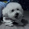 Friendly Pop-Korn 🍿's profile picture