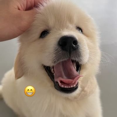juniorFan187298's profile picture