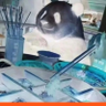 熊猫panda⚛️ profil fotoğrafı