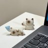 xudbdjo@didn profil fotoğrafı