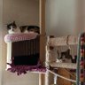 Фото профиля 🩵😺😸😽😿🐶4냥이베토네🌷🌱