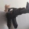 Slpy's profile picture