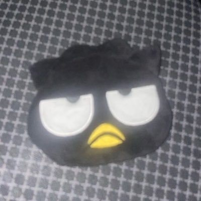 leo archive's profile picture