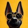 drillz.sui profil fotoğrafı
