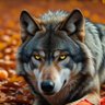 Profilbild von Wolf🐺