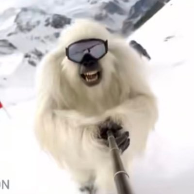 BigfootsVlog's profile picture