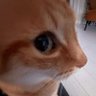 Nameless 的头像