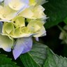 Фото профиля jaie MAGA🍊 🇺🇸