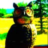 DELW's profile picture