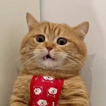 S_F_T_J's profile picture