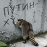 Яло 的头像