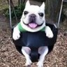 3xOGcraig's profile picture