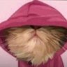 Random X user's profile picture