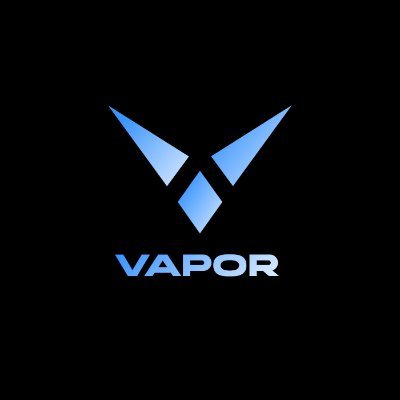 Vapor's profile picture