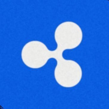 XRP Foundation's profile picture