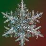 Weather God1's profile picture