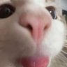 OnlyPeak's profile picture