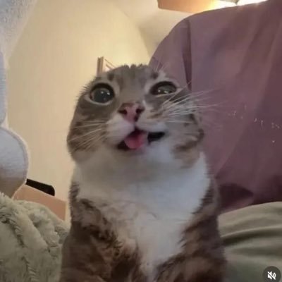 fayelentines's profile picture