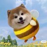 Dangaoquan's profile picture