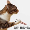 ooco's profile picture