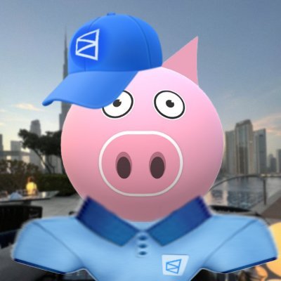 Hrundel75 🐷's profile picture