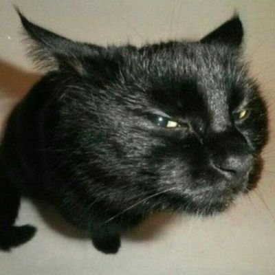 treba_zhyty's profile picture