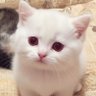 Profilbild von Everyone You Know