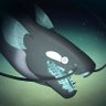 Jubilance - Off Record's profile picture