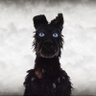 dirt wolf 的头像