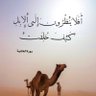Фото профиля Maha Siddiq 🇸🇦