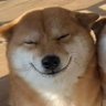 Profilbild von ぴろこ