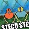 stecu stecu profil fotoğrafı
