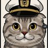 ZBCN-CAT🐈 的头像