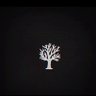 alex's profile picture
