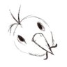 Carmine.draws's profile picture