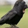 @stylnox_'s profile picture