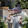 Father Lagarto profil fotoğrafı
