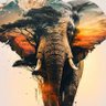 BuraBonez profil fotoğrafı