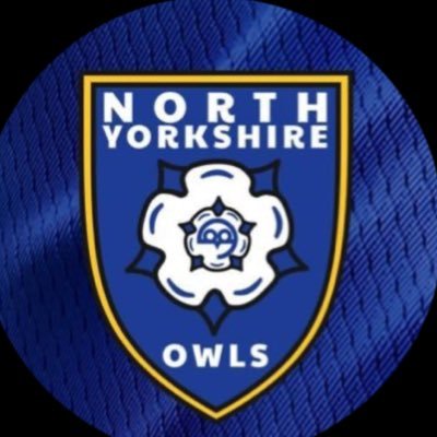 North Yorkshire Owls's profile picture