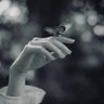 سَما آل سعيد 🇸🇦's profile picture