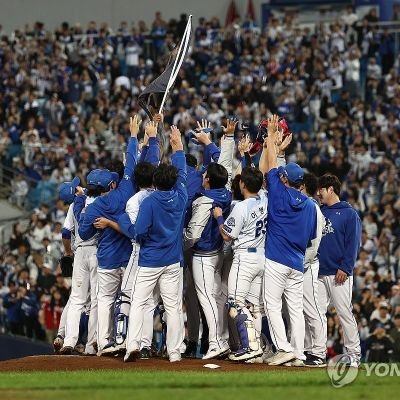 삼성라이온즈 뉴스's profile picture