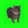 UIIAI UIIAI's profile picture