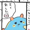 はっちゃん's profile picture