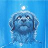 Dont Follow Buffy if You Love Losing Money's profile picture