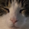 Dan's profile picture
