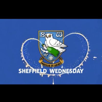 St George Owl™️'s profile picture