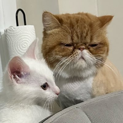 Betty & Gandalf's profile picture