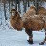 Фото профиля Том² юм бичнээ