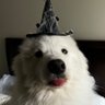 lyrawhite profil fotoğrafı