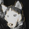 bliss's profile picture
